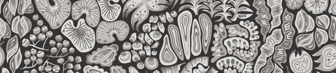 design512HTKgray